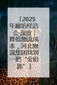 2025年廊坊经洽会·深度｜降低物流成本，河北物流集团找到一把“金钥匙”