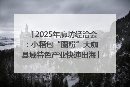 2025年廊坊经洽会：小箱包“圈粉”大咖 县域特色产业快速出海