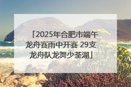 2025年合肥市端午龙舟赛雨中开赛 29支龙舟队龙舞少荃湖