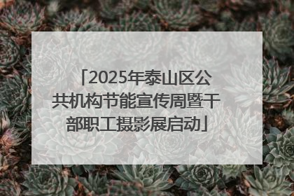 2025年泰山区公共机构节能宣传周暨干部职工摄影展启动
