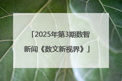 2025年第3期数智新闻《数文新视界》