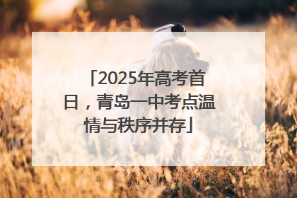 2025年高考首日，青岛一中考点温情与秩序并存