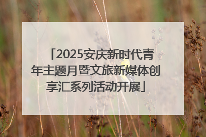 2025安庆新时代青年主题月暨文旅新媒体创享汇系列活动开展