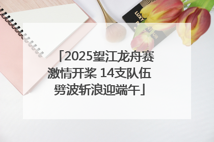 2025望江龙舟赛激情开桨 14支队伍劈波斩浪迎端午