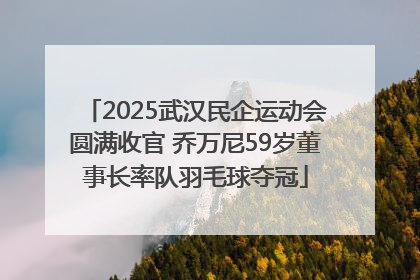 2025武汉民企运动会圆满收官 乔万尼59岁董事长率队羽毛球夺冠