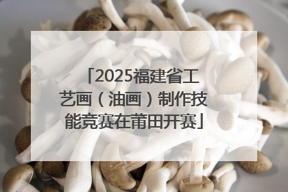 2025福建省工艺画（油画）制作技能竞赛在莆田开赛