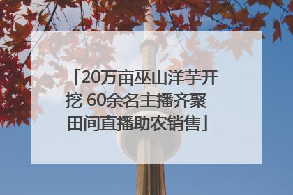 20万亩巫山洋芋开挖 60余名主播齐聚田间直播助农销售