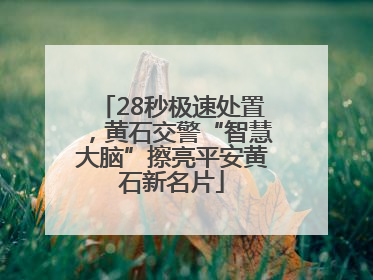 28秒极速处置，黄石交警“智慧大脑”擦亮平安黄石新名片