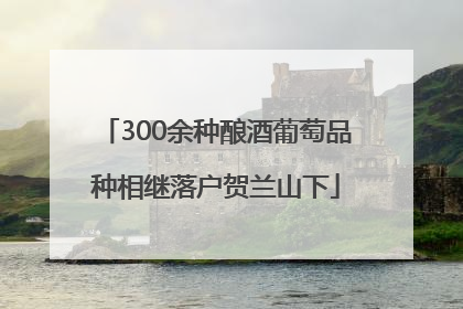 300余种酿酒葡萄品种相继落户贺兰山下