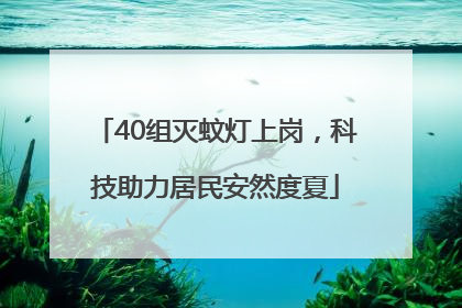 40组灭蚊灯上岗，科技助力居民安然度夏