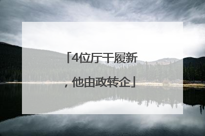 4位厅干履新，他由政转企