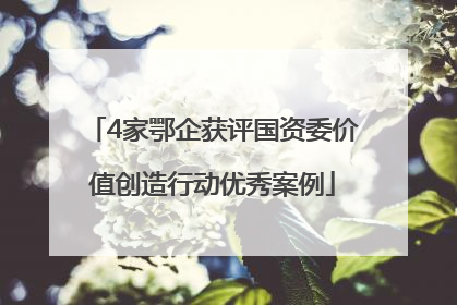 4家鄂企获评国资委价值创造行动优秀案例