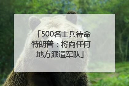 500名士兵待命 特朗普：将向任何地方派遣军队
