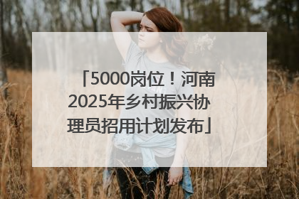 5000岗位！河南2025年乡村振兴协理员招用计划发布