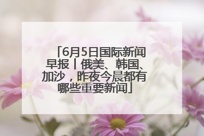 6月5日国际新闻早报丨俄美、韩国、加沙，昨夜今晨都有哪些重要新闻