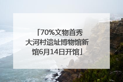 70%文物首秀 大河村遗址博物馆新馆6月14日开馆