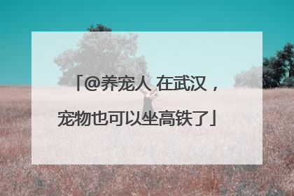 @养宠人 在武汉，宠物也可以坐高铁了