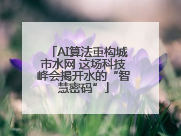 AI算法重构城市水网 这场科技峰会揭开水的“智慧密码”